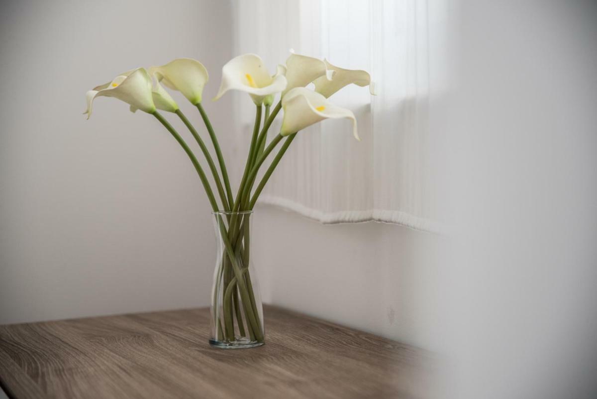 Appartement Terrazzo Siciliano à Riposto Extérieur photo